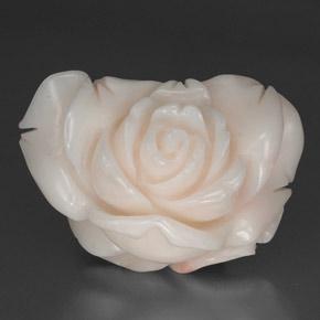 Coral branco natural 34,31ct, forma extravagante, opaco