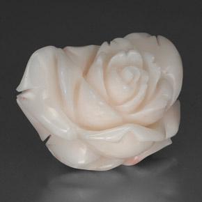 Coral branco natural 34,31ct, forma extravagante, opaco