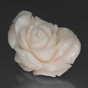 Coral branco natural 34,31ct, forma extravagante, opaco