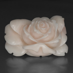 Coral Salmão Branco Natural 40.97ct, Forma extravagante, Opaco