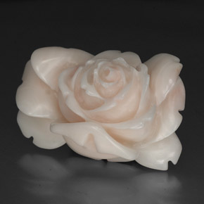 Coral Salmão Branco Natural 40.97ct, Forma extravagante, Opaco