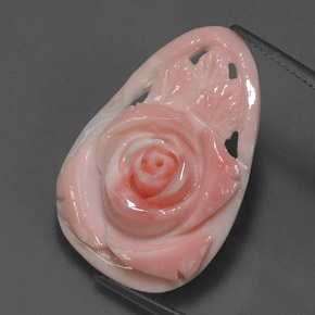 Coral rosa natural 12,52ct, forma extravagante, opaco