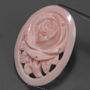 Coral rosa natural 17,81ct, forma extravagante, opaco