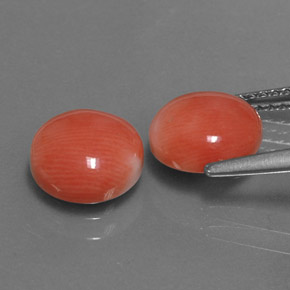 Pedras preciosas de Coral Salmão Branco natural de  ct, Corte Redondo, Opaco