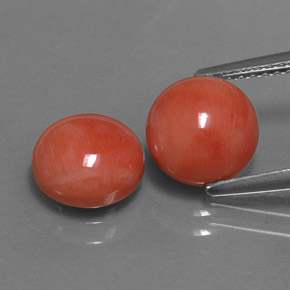 Pedras preciosas de Coral Salmão Branco natural de  ct, Corte Redondo, Opaco