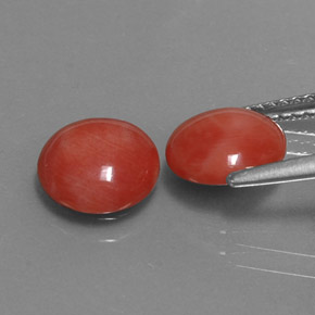 Pedras preciosas de coral rosa natural de  ct, corte redondo, opaco