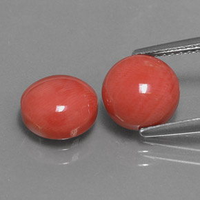 Pedras preciosas de coral rosa natural de  ct, corte redondo, opaco