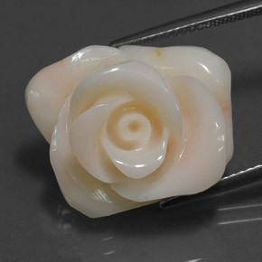 Coral creme natural 18,54ct, forma extravagante, opaco