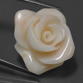 Coral creme natural 18,54ct, forma extravagante, opaco
