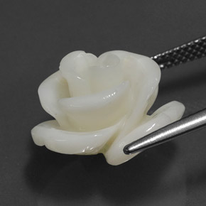 Coral branco natural 9,54ct, forma extravagante, opaco