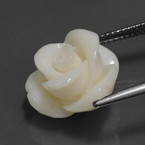 Coral Branco Natural 8.97ct, Forma extravagante, Opaco