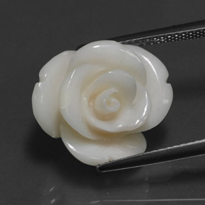 Coral branco natural 10,95ct, forma extravagante, opaco