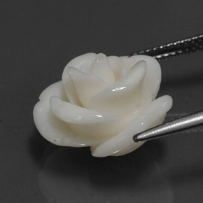 Coral branco natural 10,95ct, forma extravagante, opaco