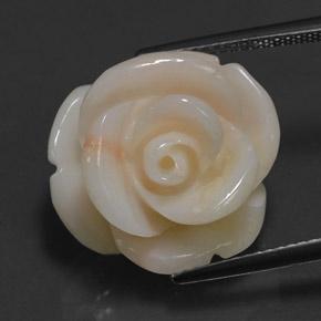 Coral rosa natural 17,14ct, forma extravagante, opaco