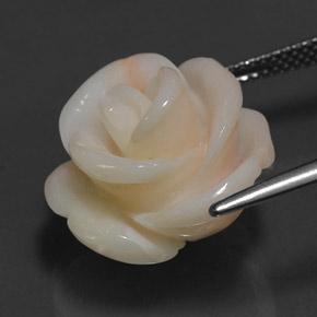 Coral rosa natural 17,14ct, forma extravagante, opaco