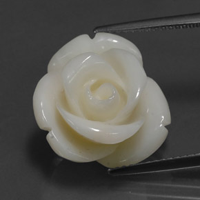 Coral branco natural 14,08ct, forma extravagante, opaco