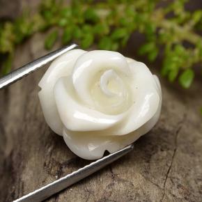 Coral branco natural 11,16ct, corte flor, opaco