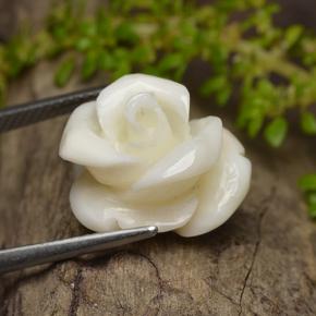 Coral branco natural 11,16ct, corte flor, opaco
