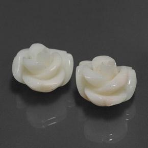 Pedras preciosas de coral rosa natural de 25,34 ct, forma extravagante, opaco
