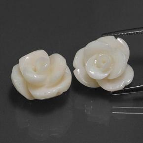 Pedras preciosas de coral branco natural de 21,60 ct, corte flor, opaco