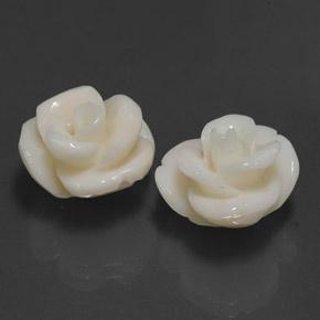 Pedras preciosas de coral branco natural de 21,60 ct, corte flor, opaco