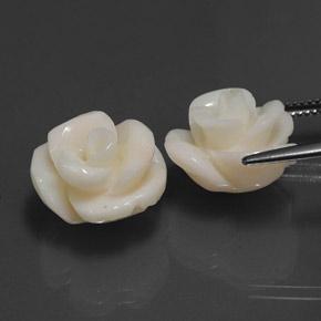 Pedras preciosas de coral branco natural de 21,60 ct, corte flor, opaco