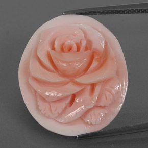 Coral rosa natural 15,77ct, forma extravagante, opaco