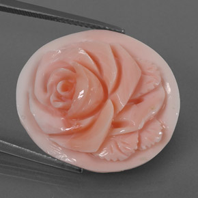 Coral rosa natural 15,77ct, forma extravagante, opaco