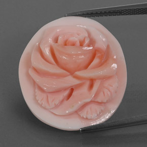 Coral rosa natural 15,77ct, forma extravagante, opaco