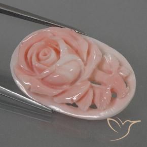 Coral Rosa Flamingo Natural 22.80ct, Chique, Opaco