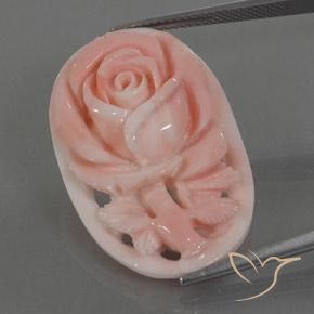 Coral Rosa Flamingo Natural 22.80ct, Chique, Opaco
