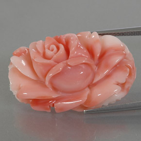 Coral multicolorido natural 33,66ct, forma extravagante, opaco