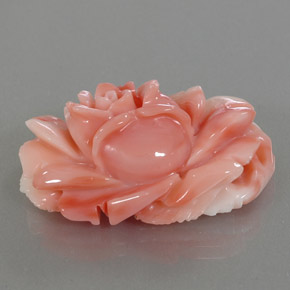 Coral multicolorido natural 33,66ct, forma extravagante, opaco