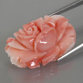 Coral multicolorido natural 33,66ct, forma extravagante, opaco