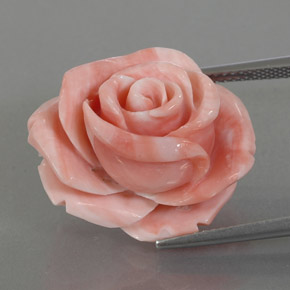 Coral rosa natural 25,74ct, forma extravagante, opaco