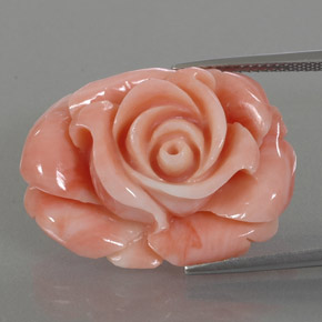 Coral multicolorido natural 22,59ct, forma extravagante, opaco