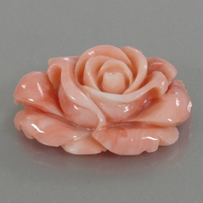 Coral multicolorido natural 22,59ct, forma extravagante, opaco