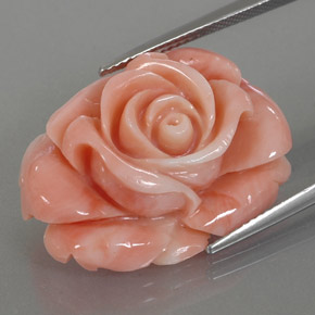 Coral multicolorido natural 22,59ct, forma extravagante, opaco