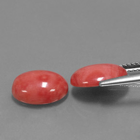 Pedras preciosas de coral rosa natural de  ct, corte oval, opaco