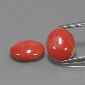 Pedras preciosas de coral rosa natural de  ct, corte oval, opaco