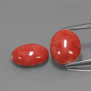 Pedras preciosas de coral rosa natural de  ct, corte oval, opaco