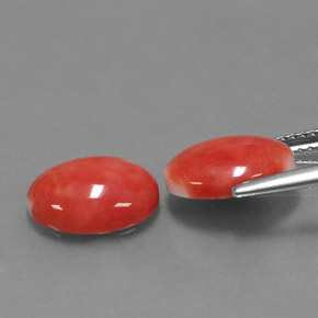 Pedras preciosas de coral rosa natural de  ct, corte oval, opaco