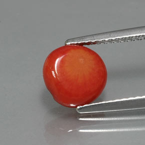 Coral rosa natural 1,95ct, forma extravagante, opaco