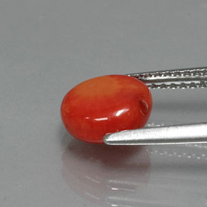 Coral rosa natural 1,95ct, forma extravagante, opaco