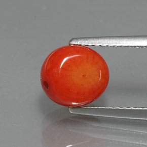 Coral salmão natural 2,62ct, forma extravagante, opaco