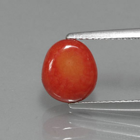 Coral Salmão Natural 2.22ct, Forma extravagante, Opaco