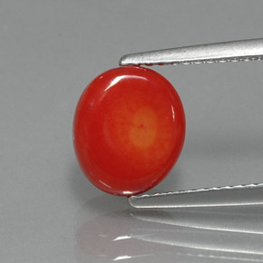 Coral rosa natural 2,35ct, forma extravagante, opaco