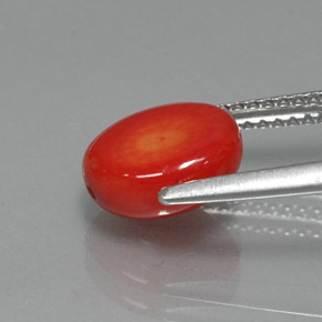 Coral rosa natural 2,35ct, forma extravagante, opaco