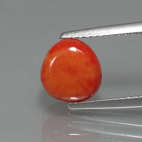 Coral rosa natural 2,25ct, forma extravagante, opaco