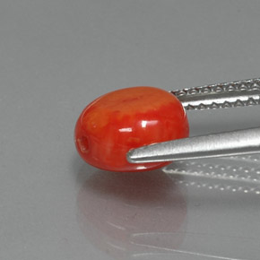 Coral rosa natural 2,25ct, forma extravagante, opaco
